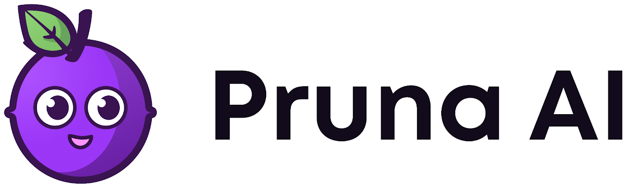Pruna AI